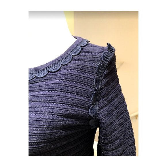 ANN TAYLOR Navy Blue Scalloped Design Sweater - Picture 2 of 5